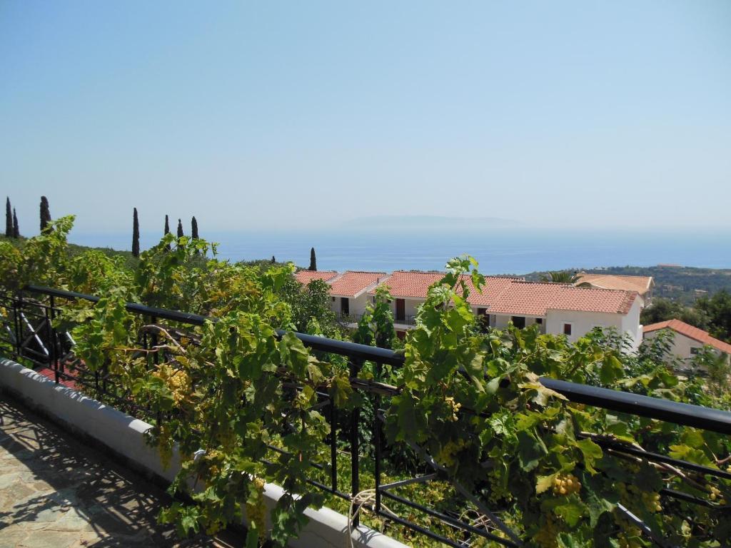 Lygies Apart Hotel Trapezaki (Kefalonia) Quarto foto